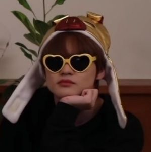 Meet your Posher, Molly